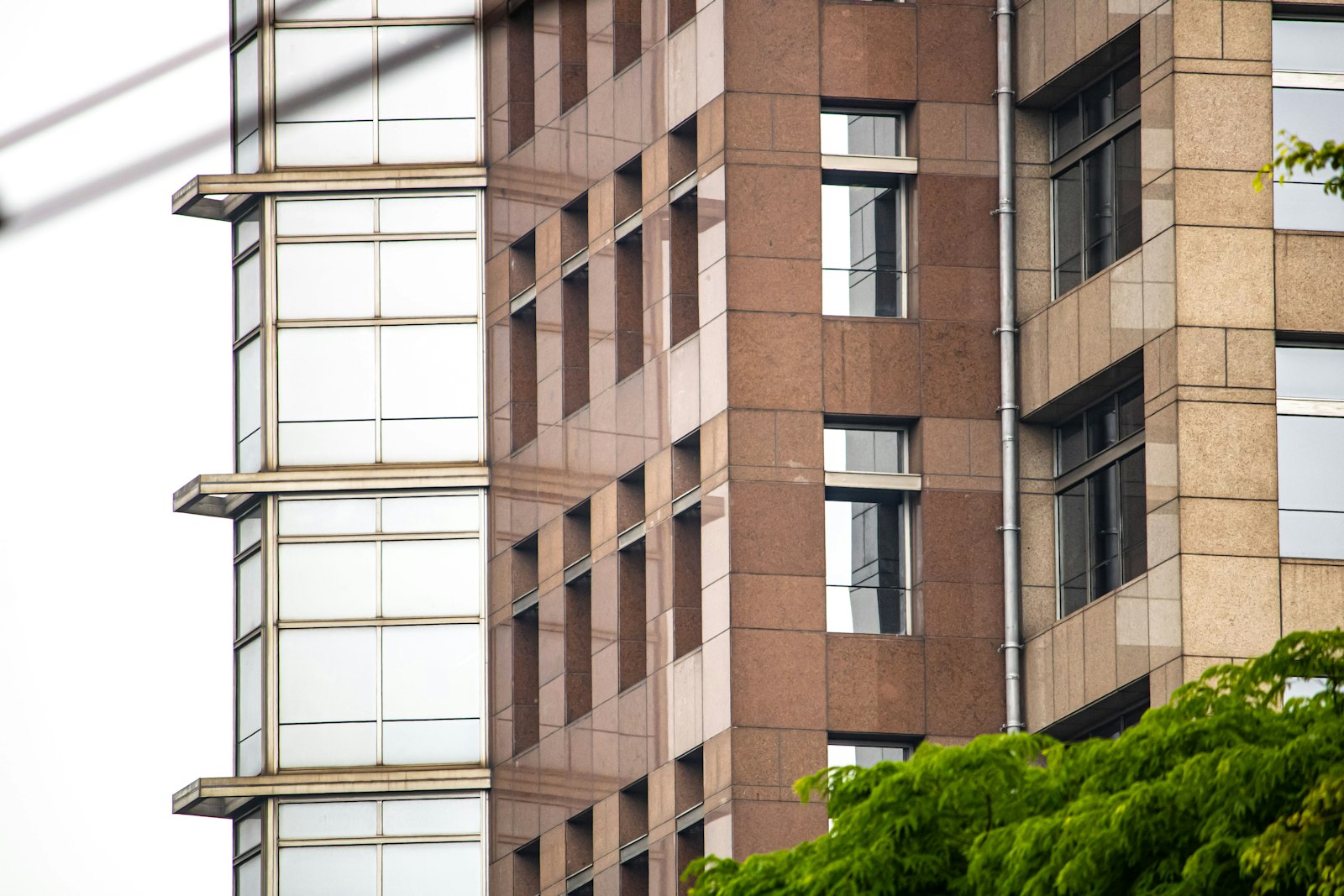 Office building facade with rows of windows